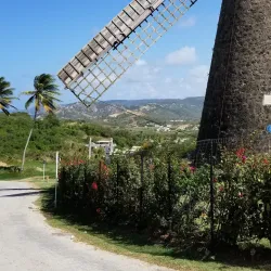Morgan Lewis Windmill - Trents