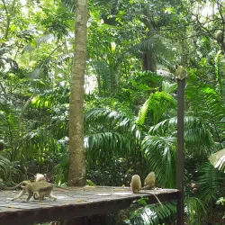 Welchman Hall Gully - Trents