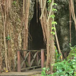 Welchman Hall Gully - Trents