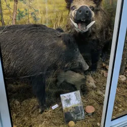 Babruysk Museum of Local Lore - Babruysk