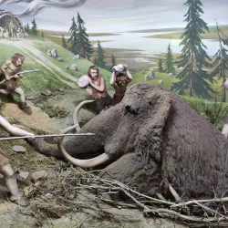 Babruysk Museum of Local Lore - Babruysk