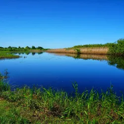 River Berezina Embankment - Babruysk