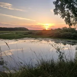River Berezina Embankment - Babruysk