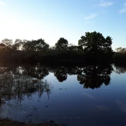 River Berezina Embankment - Babruysk