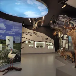 Baranavichy Art Gallery - Baranavichy