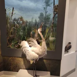 Baranavichy Art Gallery - Baranavichy