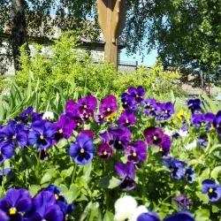 Church of the Holy Trinity - Baranavichy