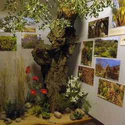 Church of the Holy Trinity - Baranavichy