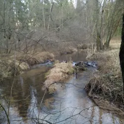 Svislach River Embankment - Barysaw (Borisov)