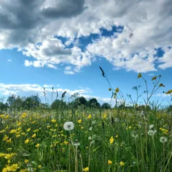 Lake Rychy - Braslav