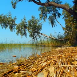 Lake Rychy - Braslav