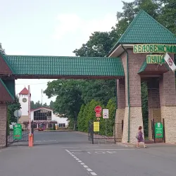 Belovezhskaya Pushcha National Park - Brest