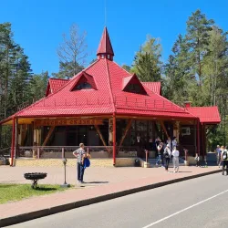 Belovezhskaya Pushcha National Park - Brest