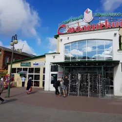 Local Market Square - Chashniki