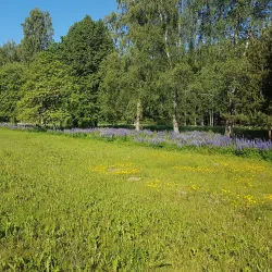 Memorial to the Battle of Chashniki - Chashniki