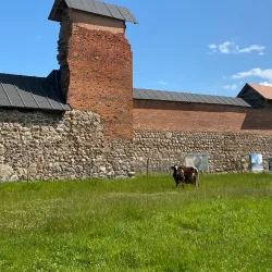 Dubrovna Castle Ruins - Dubrovna