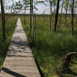Nature Reserve near Dubrovna - Dubrovna