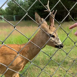 Nature Reserve near Dubrovna - Dubrovna