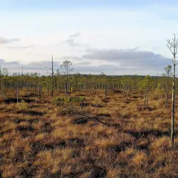 Nature Reserve near Dubrovna - Dubrovna