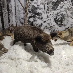 Nature Reserve near Dubrovna - Dubrovna