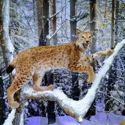 Nature Reserve near Dubrovna - Dubrovna