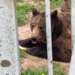 Nature Reserve near Dubrovna - Dubrovna