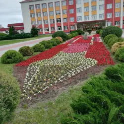 Old Town Streets - Dubrovna