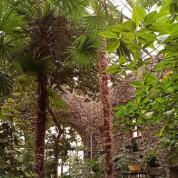 Botanical Garden of Gomel State University - Gomel