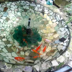 Botanical Garden of Gomel State University - Gomel