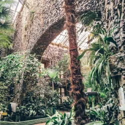 Botanical Garden of Gomel State University - Gomel