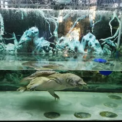 Botanical Garden of Gomel State University - Gomel