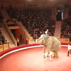 Gomel State Circus - Gomel