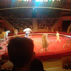 Gomel State Circus - Gomel