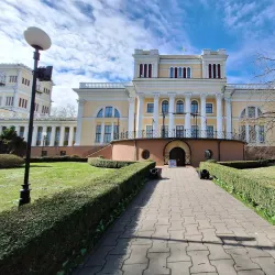 Rumyantsev-Paskevich Palace - Gomel