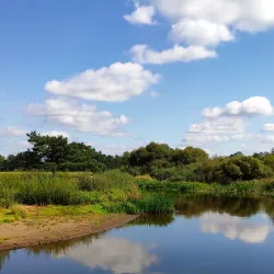 Neman River Embankment - Grodno