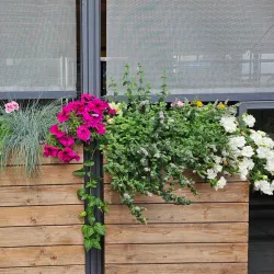 Sovetskaya Street - Grodno