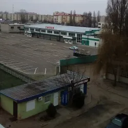 Local Market - Kobryn