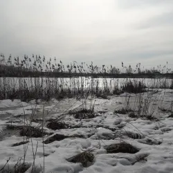 Krupki Cultural Center - Krupki
