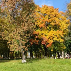 Krupki Riverbank - Krupki