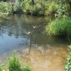 Logoysk Castle Ruins - Logoysk