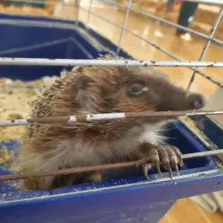 Maladzyechna City Museum - Maladzyechna (Molodechno)