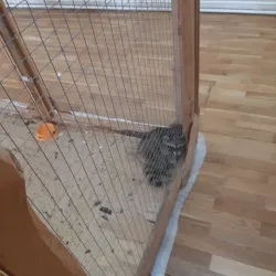 Maladzyechna City Museum - Maladzyechna (Molodechno)