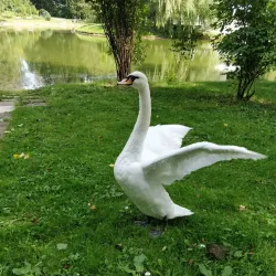 Central Botanical Garden - Minsk