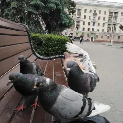 Victory Square - Minsk
