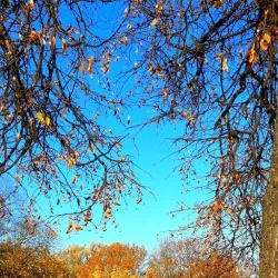 Victory Square - Minsk