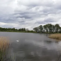 Fishing on the Miory Lakes - Miory