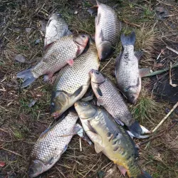 Fishing on the Miory Lakes - Miory