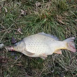 Fishing on the Miory Lakes - Miory