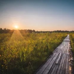 Nature Trails Around Miory - Miory