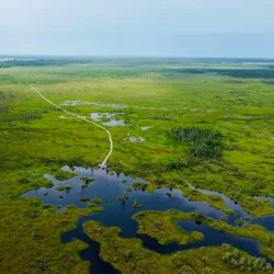 Nature Trails Around Miory - Miory